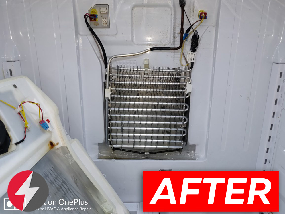 Samsung refrigerator french door repair in Tampa, Florida