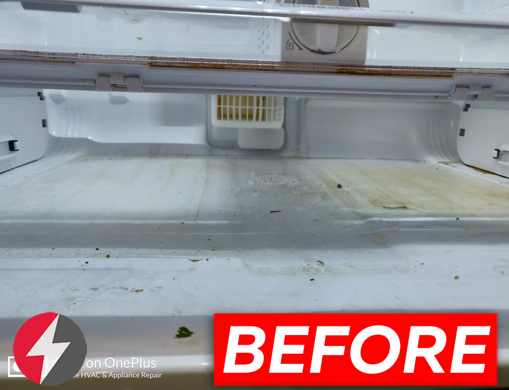 Samsung refrigerator french door repair in Tampa, Florida