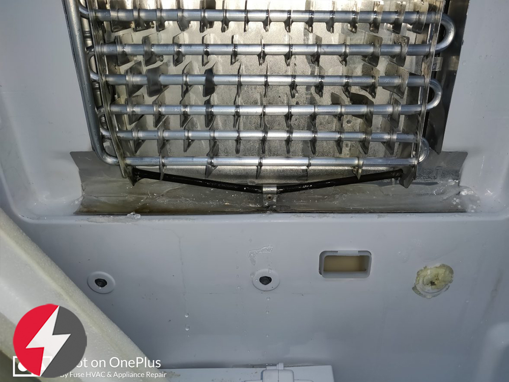 Samsung refrigerator french door repair in Tampa, Florida